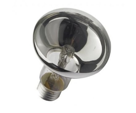 R63 Halogen