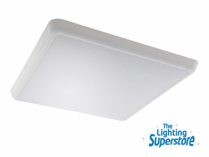Oyster Ceiling Lights